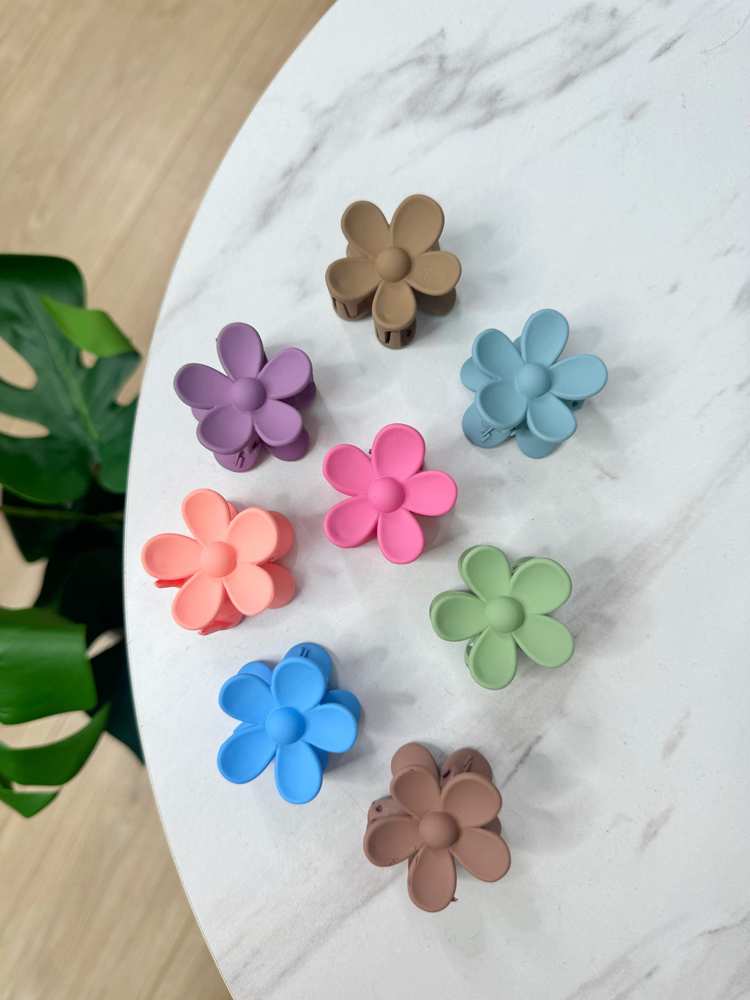 Matte Colour Mini Clip