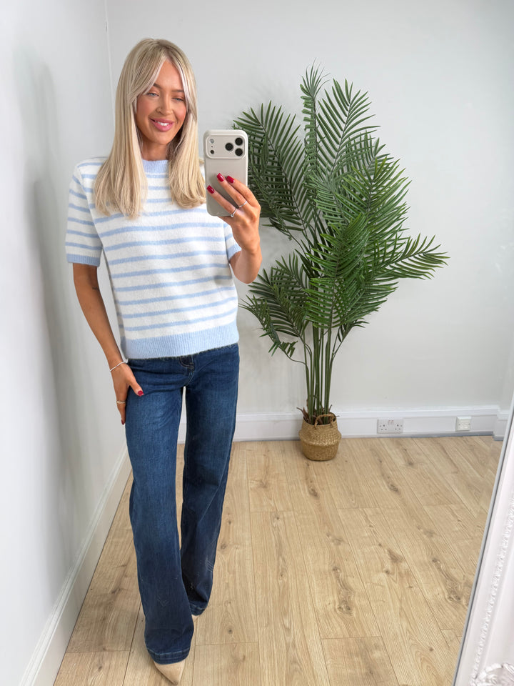 Fern Stripe Knit - Baby blue